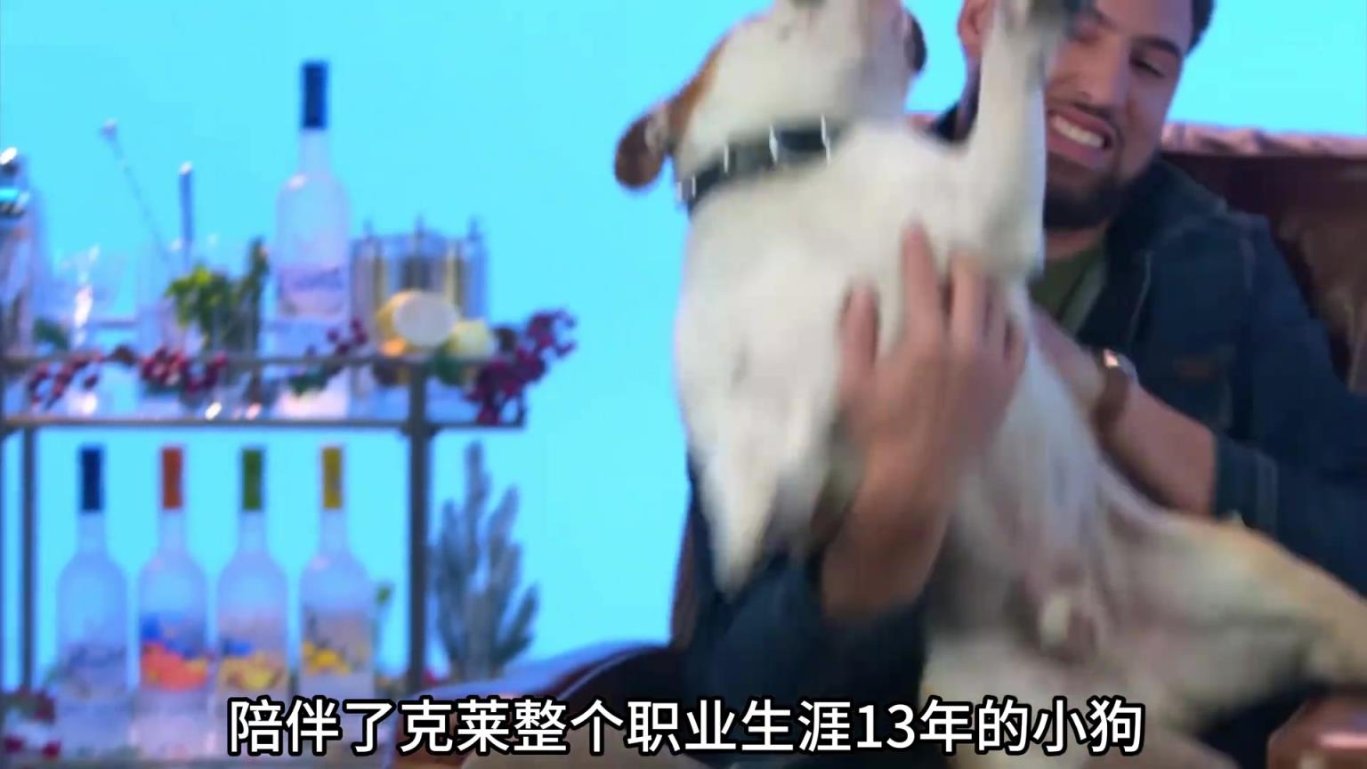 陪伴克萊13年的小狗去世了，不敢相信克萊得多么傷心